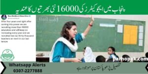 16000 Educators Jobs 2022 in Punjab School Education Department PED