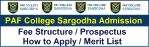 PAF College Sargodha Result 2023 8th Class