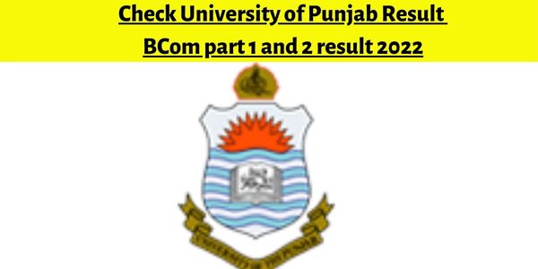 Check University of Punjab Result BCom part 1 and 2 result 2022