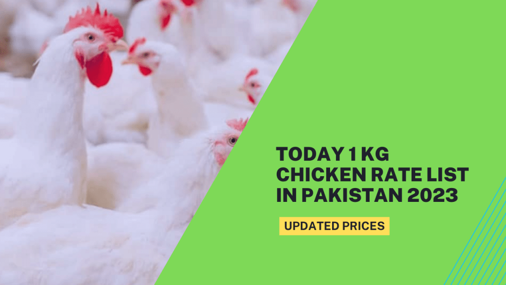 Today 1 KG Chicken Rate List in Pakistan 2023