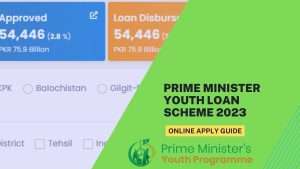 (PM) Prime Minister Youth Loan Scheme 2023: For Business and Agriculture