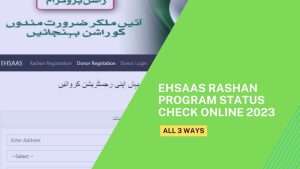 3 Ways of Ehsaas Rashan Program Status Check Online 2023