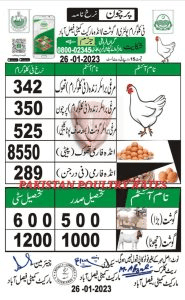 Today 1 KG Chicken Rate List in Pakistan 2023